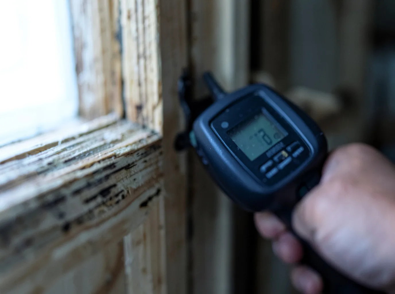Moisture Inspection And Documentation in Waterbury, VT
